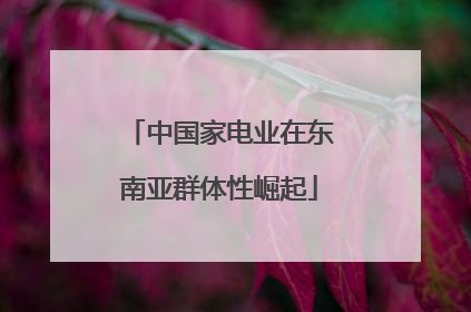 中国家电业在东南亚群体性崛起