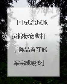 中式台球球员锦标赛收杆，陈喆首夺冠军完成蜕变