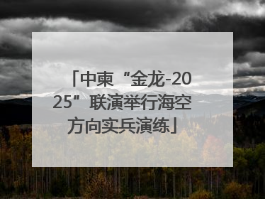 中柬“金龙-2025”联演举行海空方向实兵演练