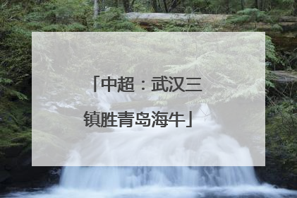 中超：武汉三镇胜青岛海牛