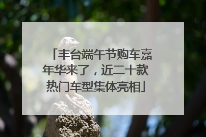 丰台端午节购车嘉年华来了，近二十款热门车型集体亮相