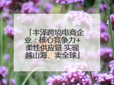 丰泽跨境电商企业：核心竞争力+柔性供应链 实现越山海、卖全球