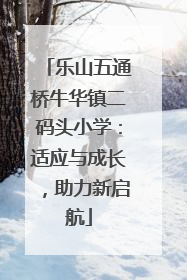 乐山五通桥牛华镇二码头小学：适应与成长，助力新启航