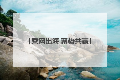乘网出海 聚势共赢