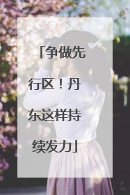 争做先行区！丹东这样持续发力