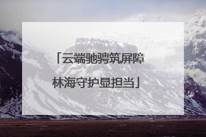 云端驰骋筑屏障 林海守护显担当