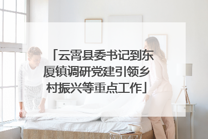 云霄县委书记到东厦镇调研党建引领乡村振兴等重点工作
