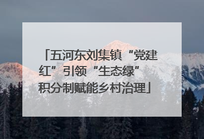 五河东刘集镇“党建红”引领“生态绿” 积分制赋能乡村治理