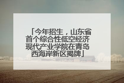 今年招生，山东省首个综合性低空经济现代产业学院在青岛西海岸新区揭牌