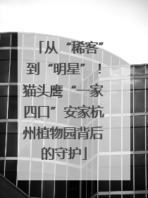 从“稀客”到“明星”！猫头鹰“一家四口”安家杭州植物园背后的守护