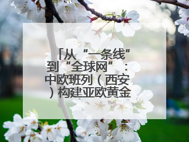 从“一条线”到“全球网”：中欧班列（西安）构建亚欧黄金物流大通道