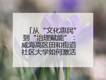 从“文化惠民”到“治理赋能”：威海高区田和街道社区大学如何激活基层服务新动能