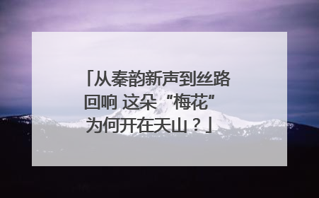 从秦韵新声到丝路回响 这朵“梅花”为何开在天山？