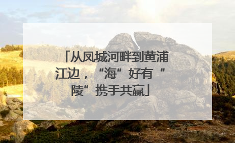 从凤城河畔到黄浦江边，“海”好有“陵”携手共赢