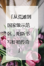 从荒滩到国家级示范区，阳新书写虾稻传奇