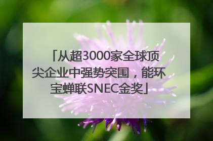 从超3000家全球顶尖企业中强势突围，能环宝蝉联SNEC金奖