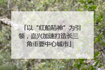 以“红船精神”为引领，嘉兴加速打造长三角重要中心城市