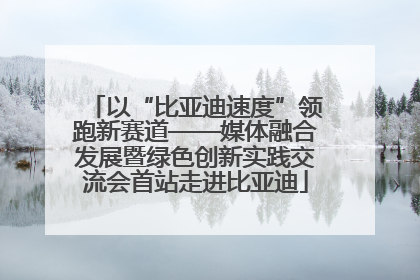 以“比亚迪速度”领跑新赛道——媒体融合发展暨绿色创新实践交流会首站走进比亚迪