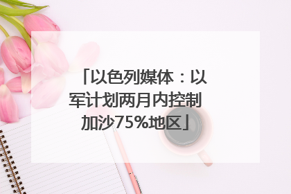 以色列媒体：以军计划两月内控制加沙75%地区