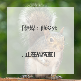 伊媒：他没死，正在战情室