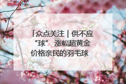 众点关注｜供不应“球” 涨幅超黄金 价格亲民的羽毛球为何身价飞涨？