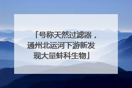 号称天然过滤器，通州北运河下游新发现大量蚌科生物