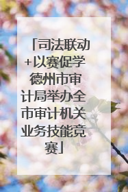 司法联动+以赛促学 德州市审计局举办全市审计机关业务技能竞赛
