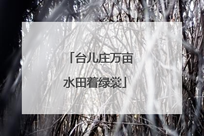 台儿庄万亩水田着绿裳