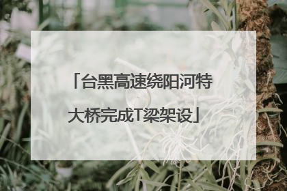 台黑高速绕阳河特大桥完成T梁架设