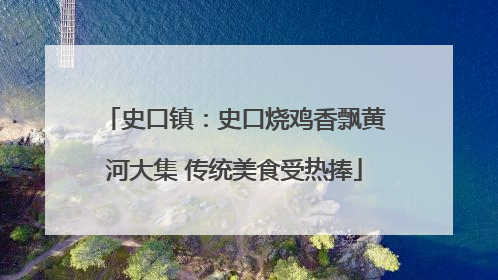 史口镇：史口烧鸡香飘黄河大集 传统美食受热捧