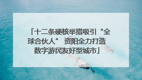 十二条硬核举措吸引“全球合伙人” 资阳全力打造数字游民友好型城市