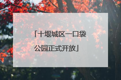 十堰城区一口袋公园正式开放