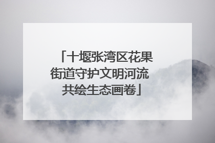 十堰张湾区花果街道守护文明河流 共绘生态画卷