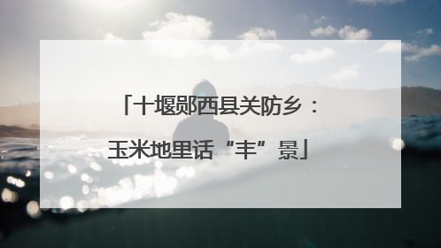 十堰郧西县关防乡：玉米地里话“丰”景