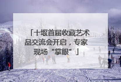 十堰首届收藏艺术品交流会开启，专家现场“掌眼”