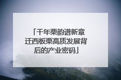 千年栗韵谱新章 迁西板栗高质发展背后的产业密码