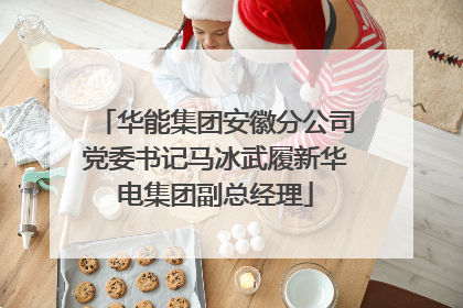 华能集团安徽分公司党委书记马冰武履新华电集团副总经理