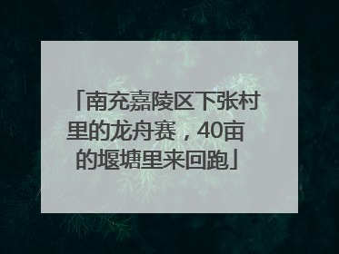 南充嘉陵区下张村里的龙舟赛，40亩的堰塘里来回跑