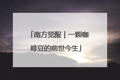 南方觉醒｜一颗咖啡豆的前世今生