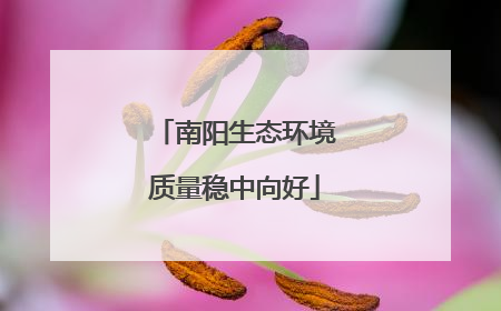 南阳生态环境质量稳中向好