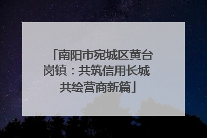 南阳市宛城区黄台岗镇：共筑信用长城 共绘营商新篇