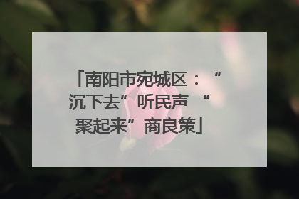 南阳市宛城区：“沉下去”听民声 “聚起来”商良策