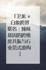 卫龙 × 白象跨界联名：辣味基因的跨维度共振与行业范式重构