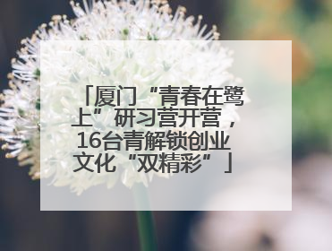 厦门“青春在鹭上”研习营开营，16台青解锁创业文化“双精彩”