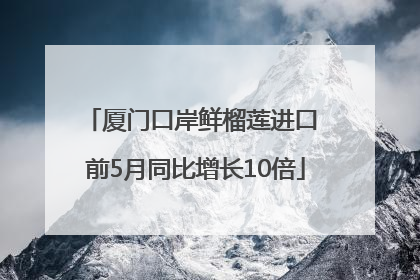 厦门口岸鲜榴莲进口 前5月同比增长10倍