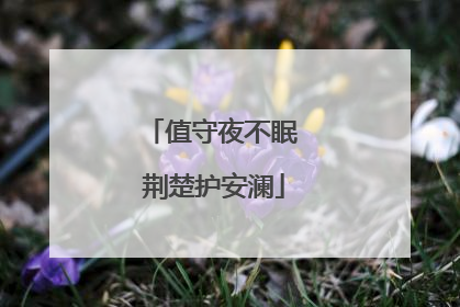 值守夜不眠 荆楚护安澜