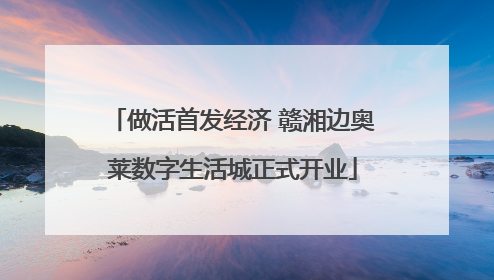 做活首发经济 赣湘边奥莱数字生活城正式开业