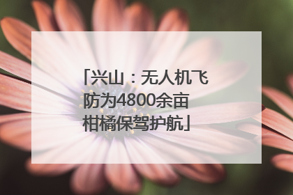 兴山：无人机飞防为4800余亩柑橘保驾护航