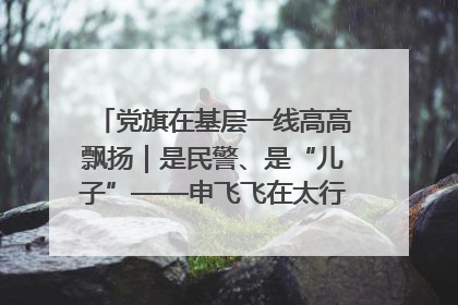 党旗在基层一线高高飘扬｜是民警、是“儿子”——申飞飞在太行山中的一线坚守