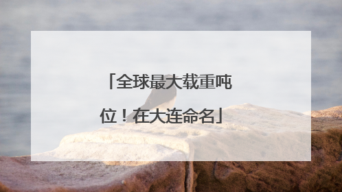 全球最大载重吨位！在大连命名
